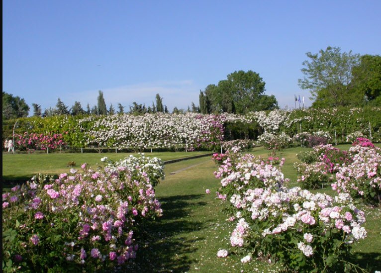 Botanical Garden "Angelo Rambelli", Italy